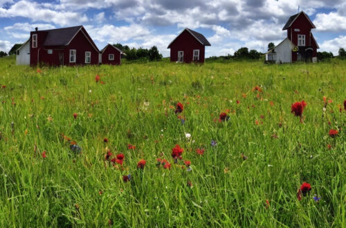 Jordskruer som bæredygtigt alternativ til traditionelle fundament-løsninger